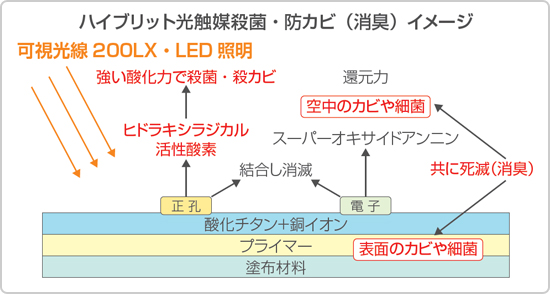 ハイブリット光触媒殺菌・防カビ（消臭）イメージ